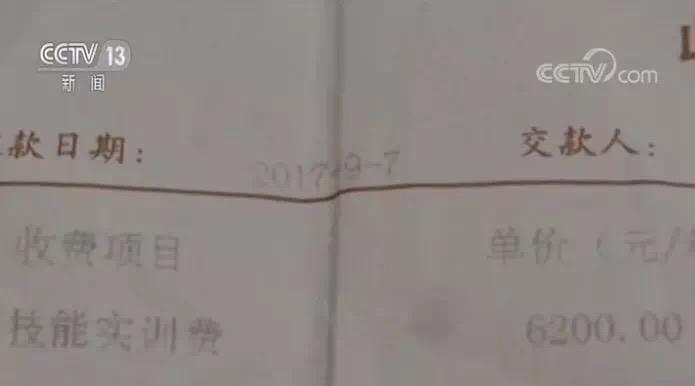 风速体育手机版图片