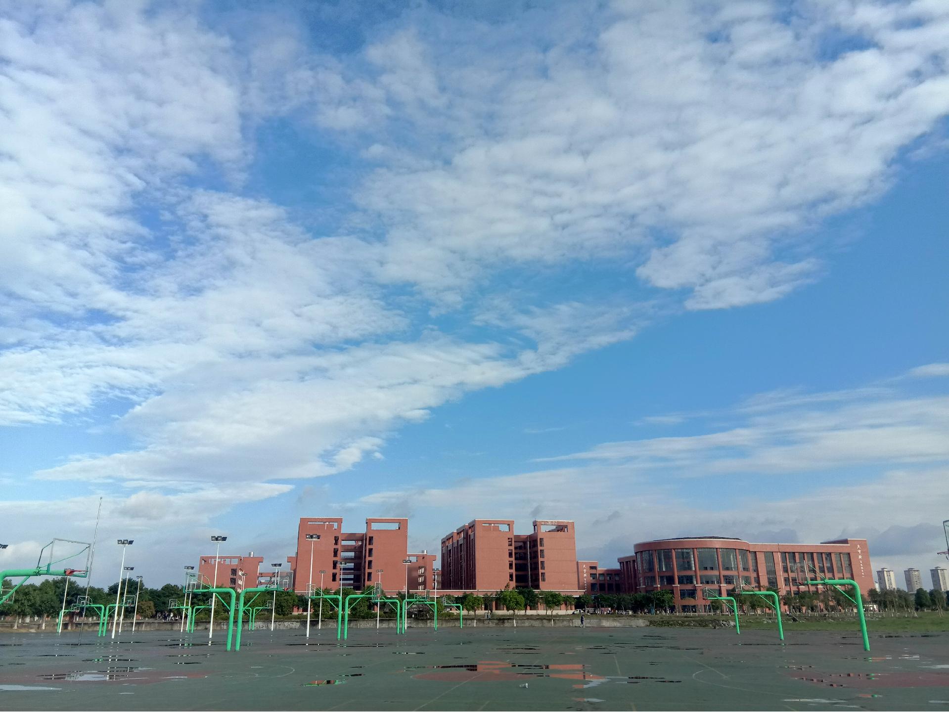 风速体育指定通道图片