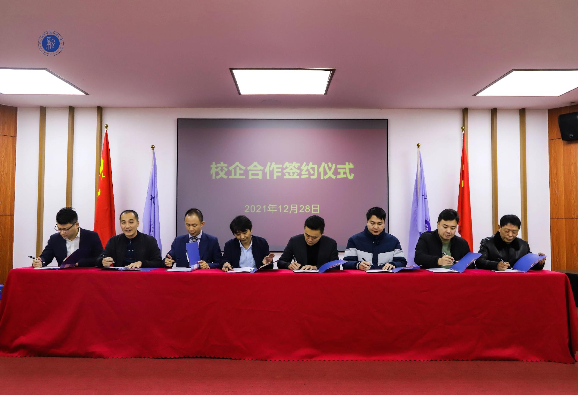 风速体育手机版图片