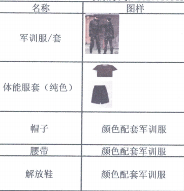 风速体育手机版图片
