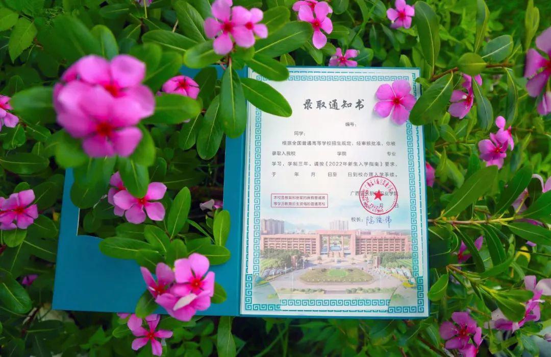 风速体育指定通道图片