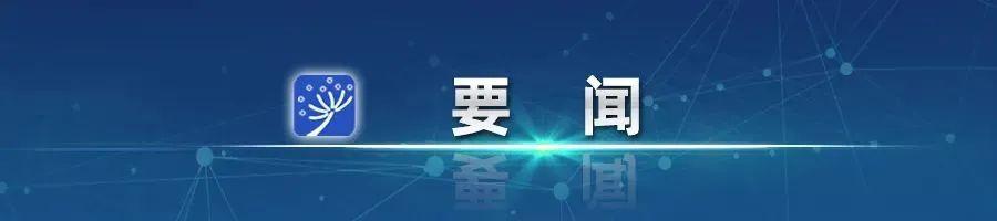 风速体育手机版图片