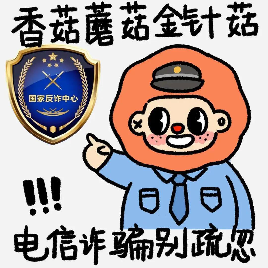 风速体育欧洲杯图片