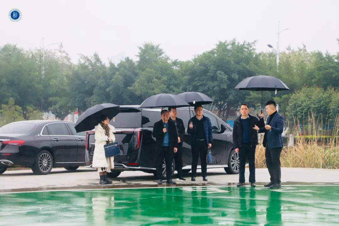 风速体育手机版图片
